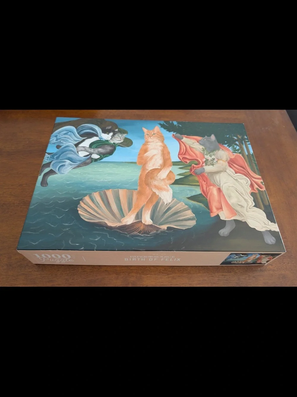 Paper Source 1000 pc